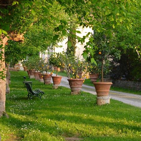 Ginestra Lägenhet Poggibonsi Exteriör bild