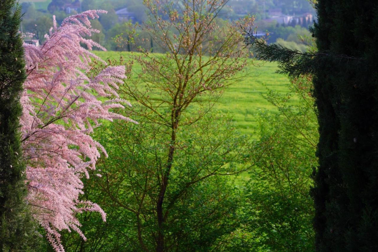Ginestra Lägenhet Poggibonsi Exteriör bild