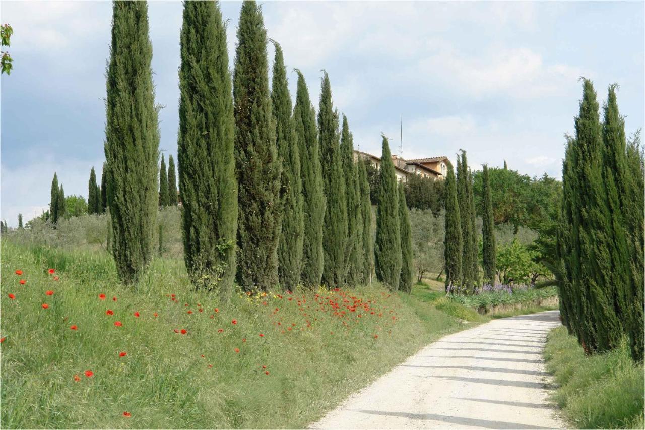 Ginestra Lägenhet Poggibonsi Exteriör bild