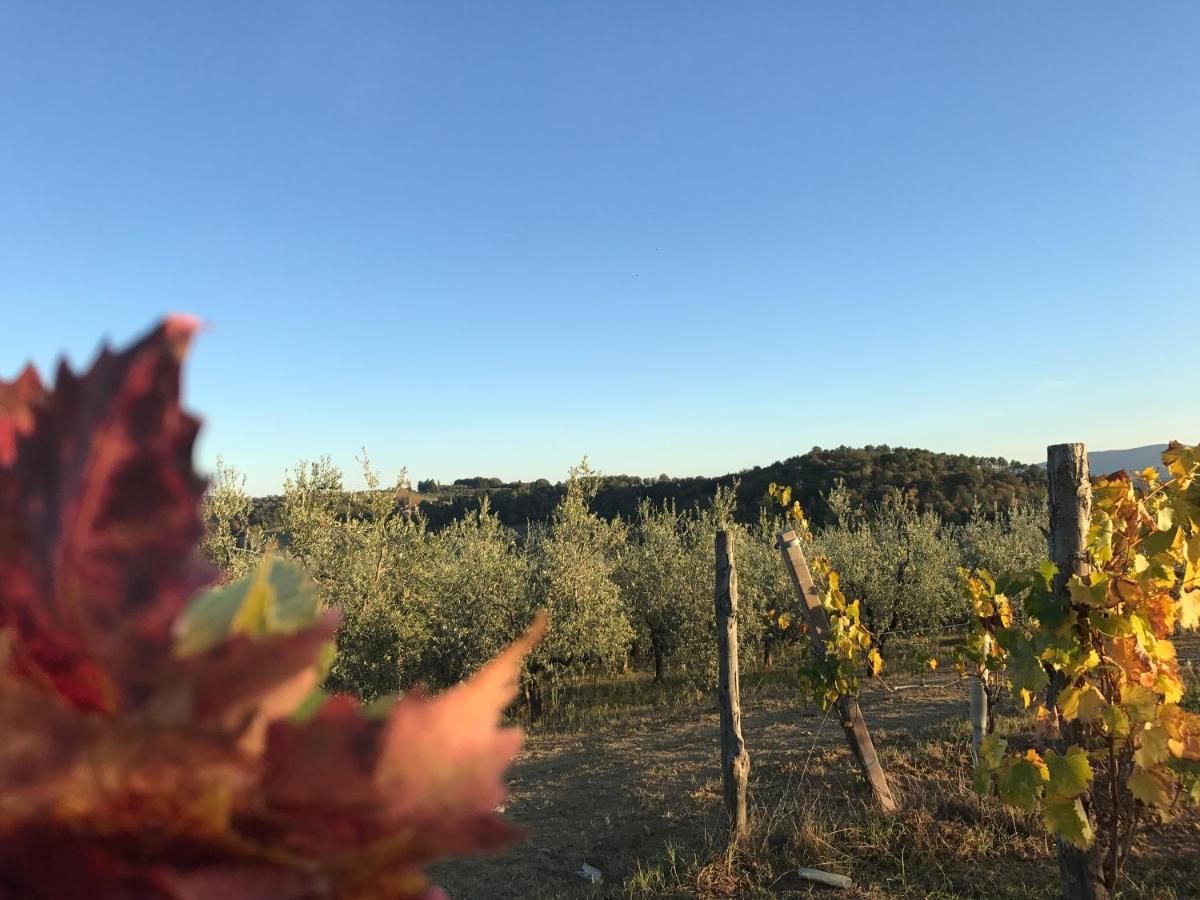 Ginestra Lägenhet Poggibonsi Exteriör bild