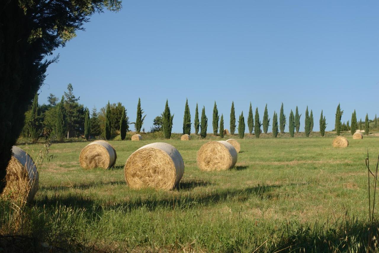 Ginestra Lägenhet Poggibonsi Exteriör bild